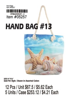 Hand Bag-13